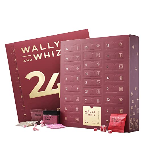 Wally and Whiz - Adventskalender 2022 - Dänische...